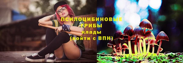 твердый Ладушкин