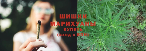 дурь Лиски