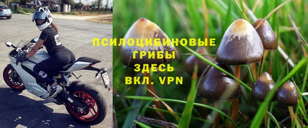 мет Лагань