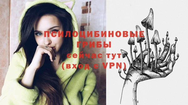 твердый Ладушкин