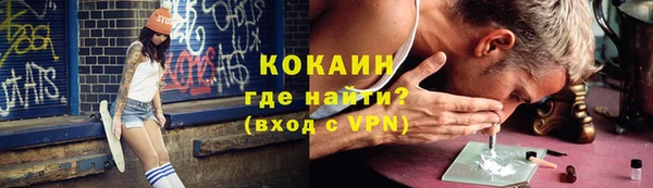 твердый Ладушкин