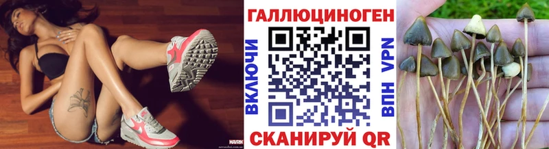 Псилоцибиновые грибы GOLDEN TEACHER  Купить  Цоци-Юрт 